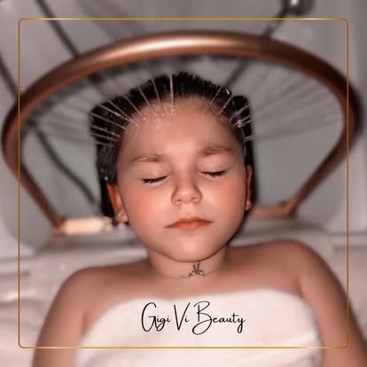Therapeutic wellness experience